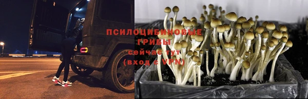 экстази Наволоки