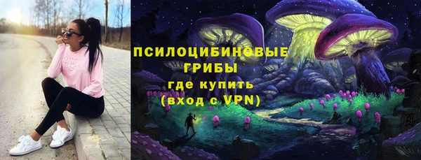 ГАЛЛЮЦИНОГЕННЫЕ ГРИБЫ Навашино