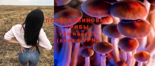 ГАЛЛЮЦИНОГЕННЫЕ ГРИБЫ Навашино