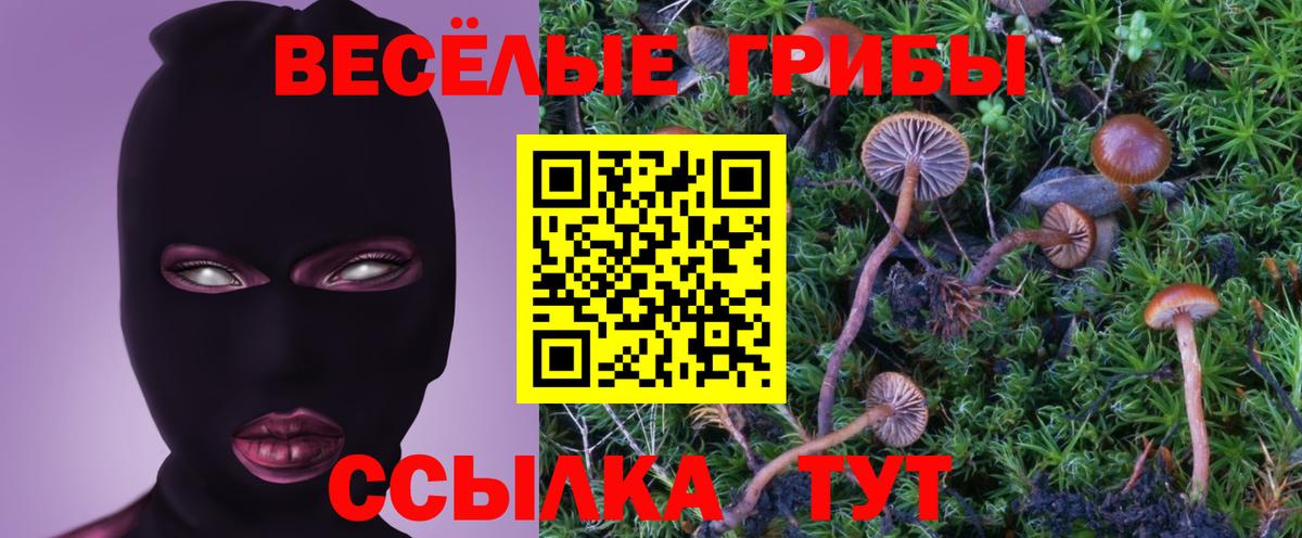 Галлюциногенные грибы прущие грибы  Вход с VPN  купить  цена  Псилоцибиновые грибы Psilocybine cubensis  Уварово 