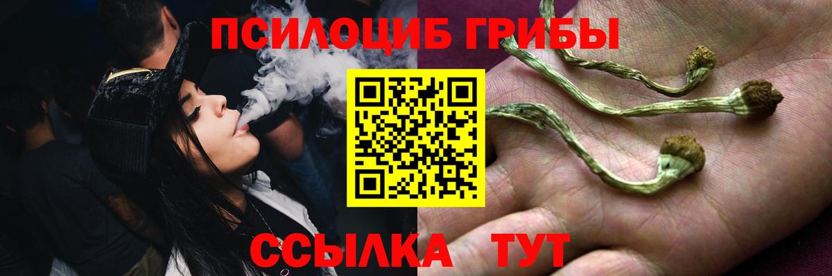 Псилоцибиновые грибы прущие грибы Уварово