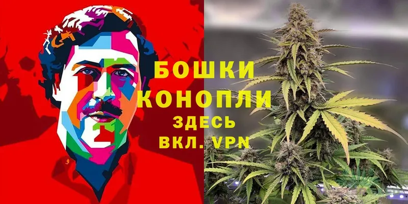 Шишки марихуана OG Kush  darknet наркотические препараты  Уварово  как найти закладки 